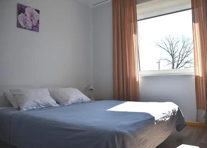 Saare Automatic * Parnu